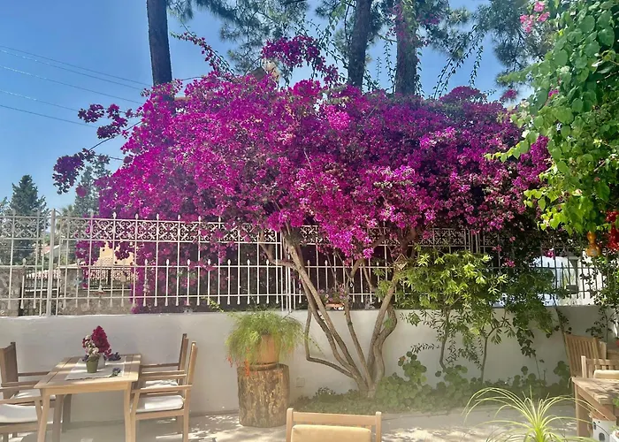 Carikci Hotel